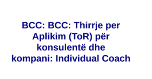 Thirrje per Aplikim (ToR) | Business Consultants Council & GIZ