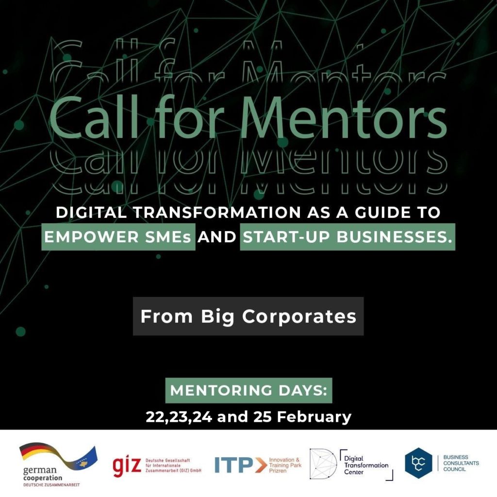 Terms of Reference for Mentors for the Project Digital Transformation as a guide to Empowering SMEs and Start-up Businesses