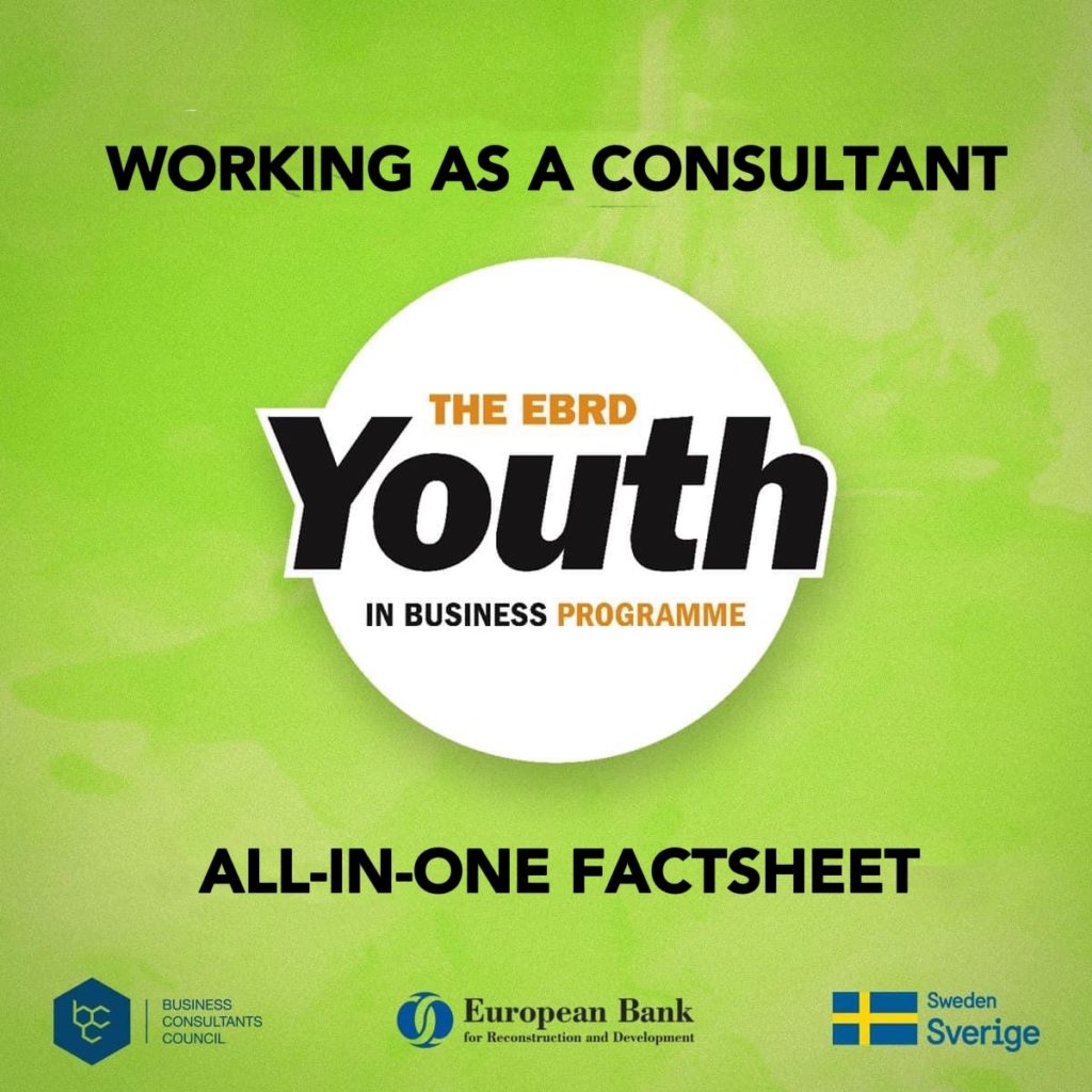 Fleta Faktike (Factsheet) Puna si Konsulent | Projekti Të Rinjtë në Biznes