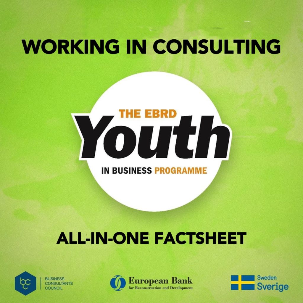 Fleta Faktike (Factsheet) Puna në Konsulencë  | Projekti Të Rinjtë në Biznes